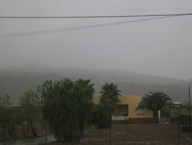 20140917_023010_1.jpg image