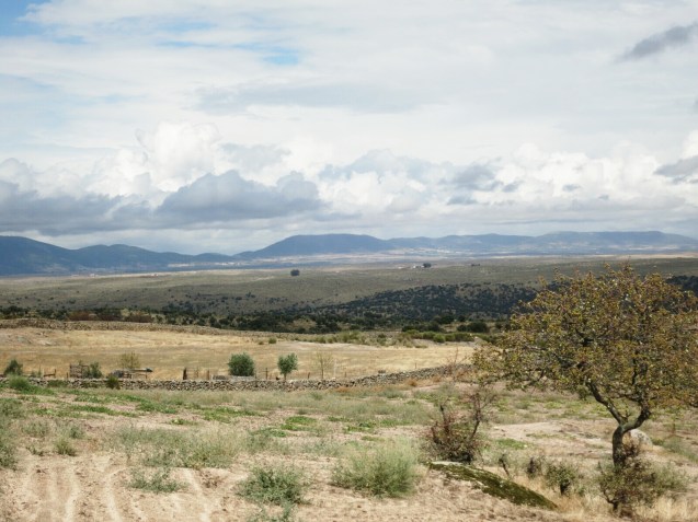 20140917_075936_1_2.jpg image