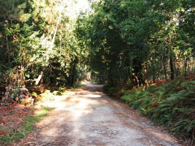 20140927_025258_1.jpg image