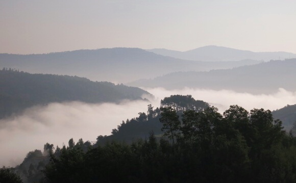 20140927_030918_2.jpg image