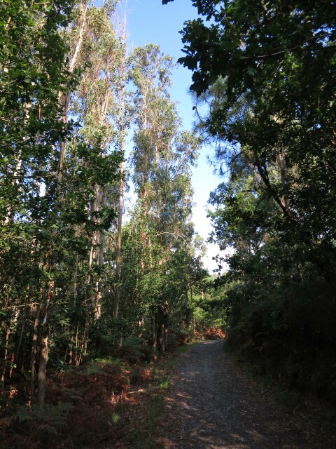 20140927_042337_1.jpg image